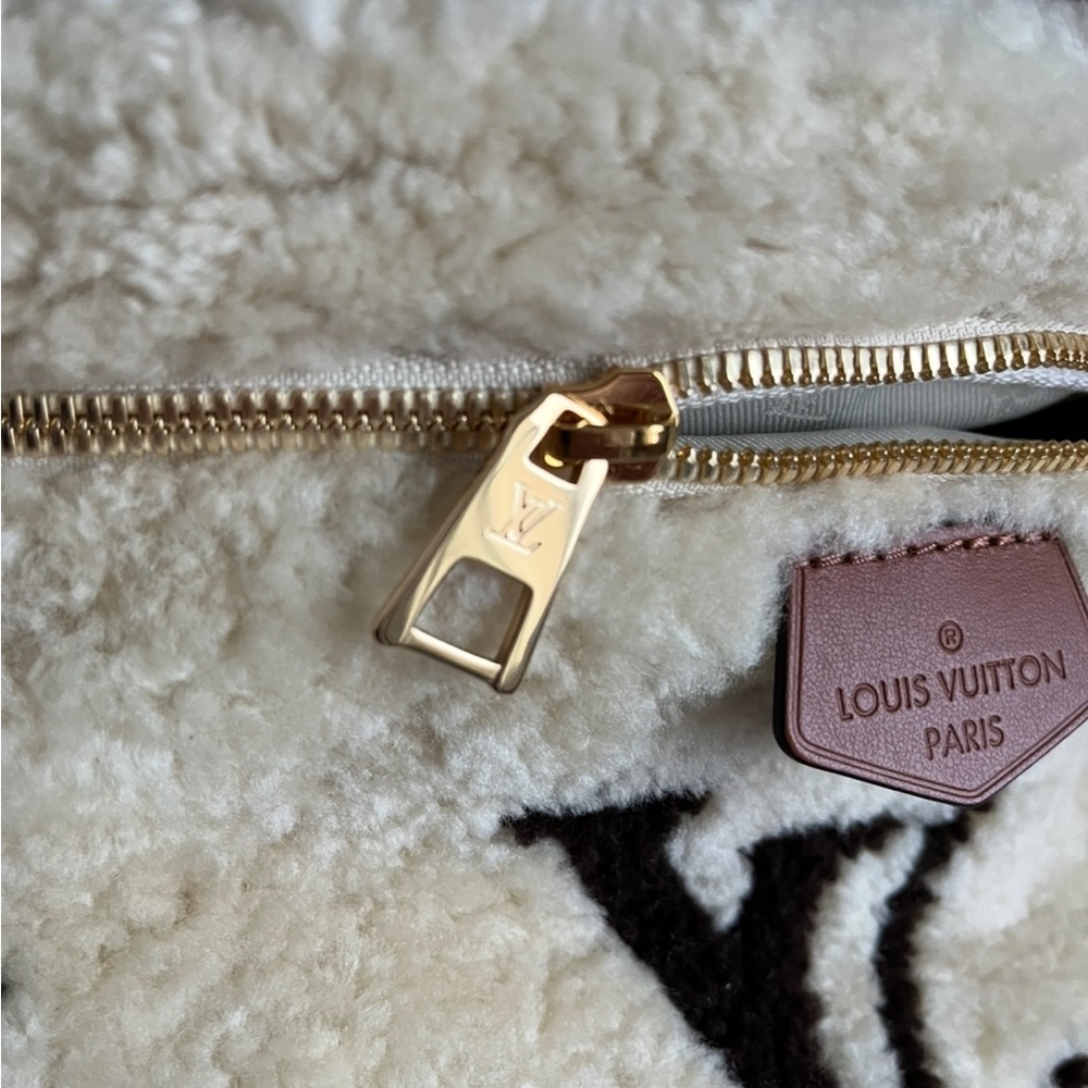 Louis Vuitton Shearling Bumbag - Picture 7 of 12